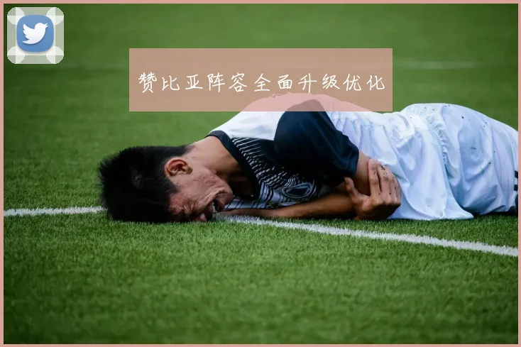 赞比亚阵容全面升级优化