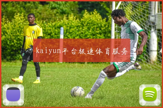 kaiyun平台极速体育服务