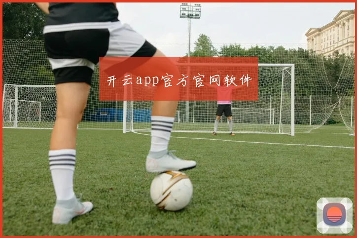 开云app官方官网软件