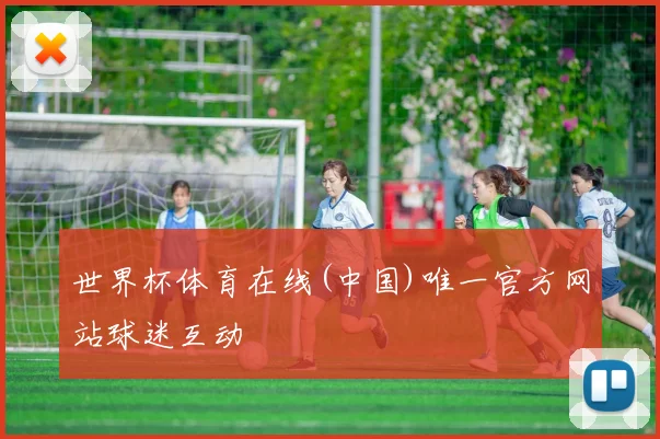 世界杯体育在线(中国)唯一官方网站球迷互动
