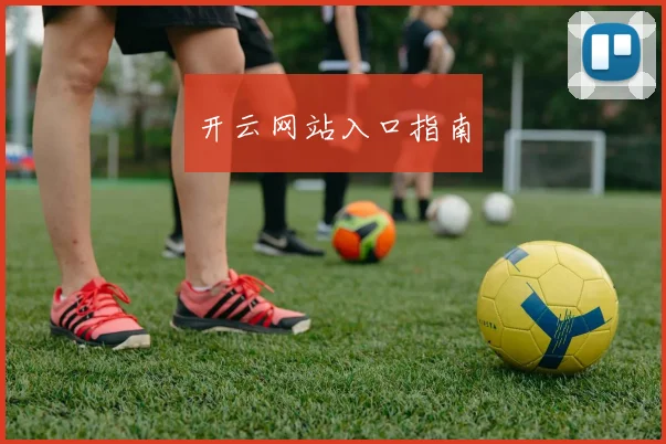 开云网站入口指南