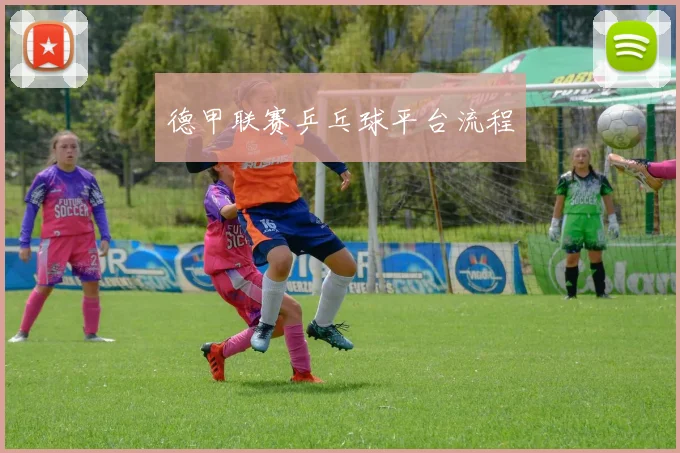 德甲联赛乒乓球平台流程
