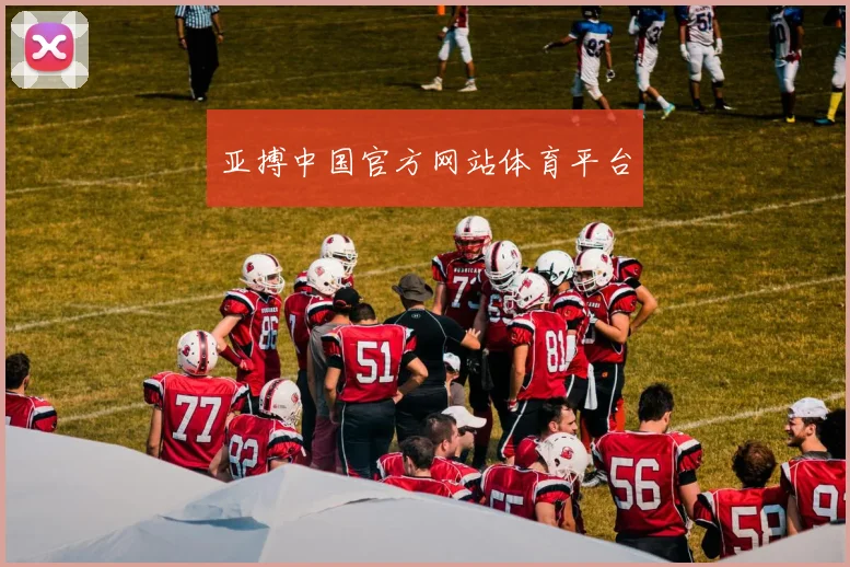亚搏中国官方网站体育平台