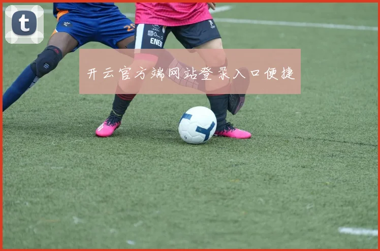 开云官方端网站登录入口便捷