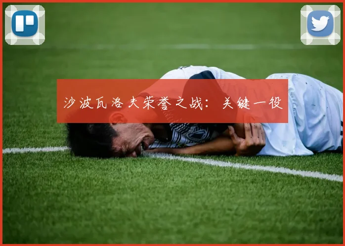 沙波瓦洛夫荣誉之战：关键一役