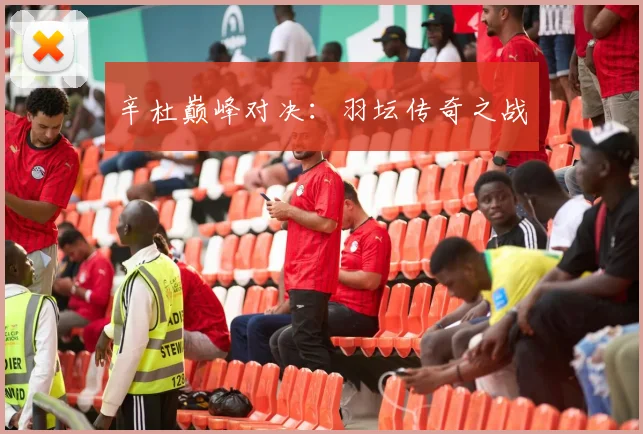 辛杜巅峰对决：羽坛传奇之战