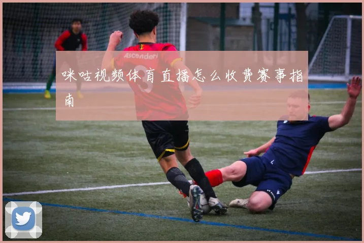 咪咕视频体育直播怎么收费赛事指南