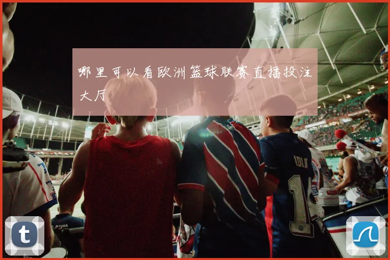 哪里可以看欧洲篮球联赛直播投注大厅
