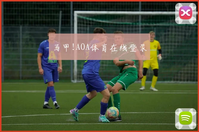 马甲!AOA体育在线登录