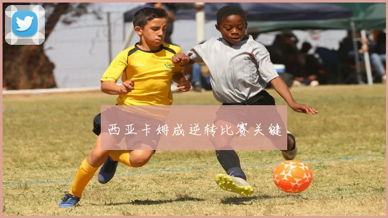 西亚卡姆成逆转比赛关键
