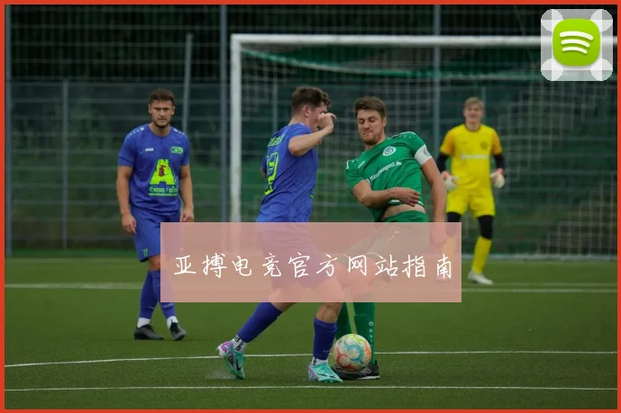 亚搏电竞官方网站指南