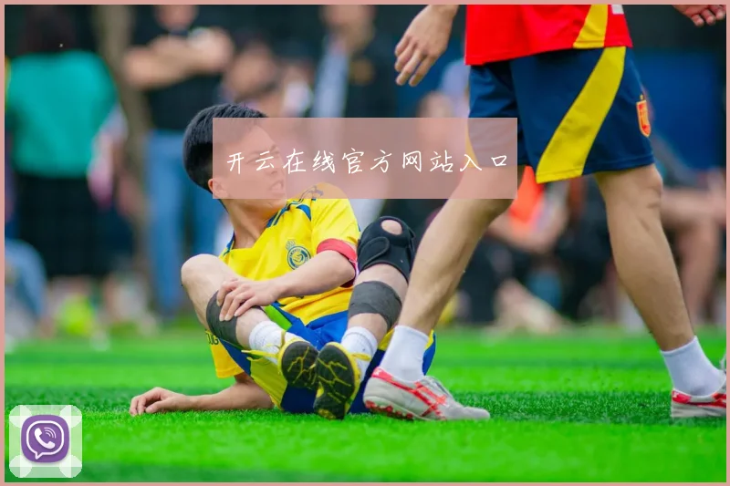开云在线官方网站入口
