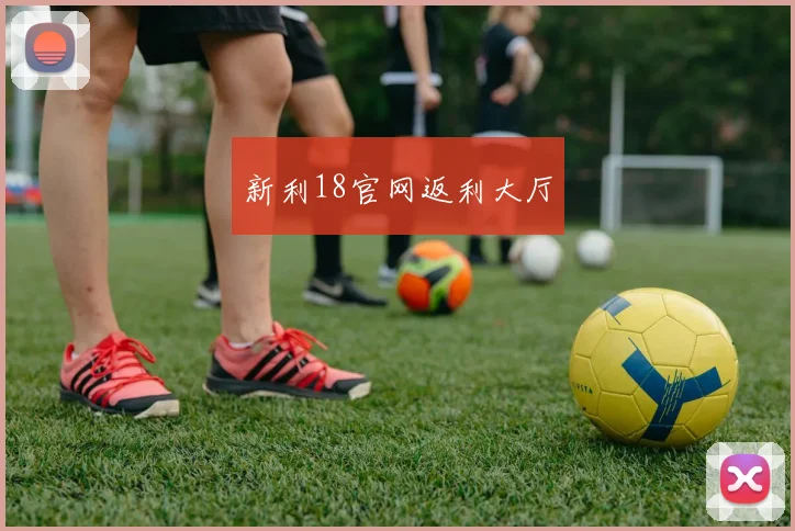 新利18官网返利大厅