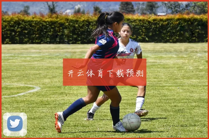开云体育下载预测
