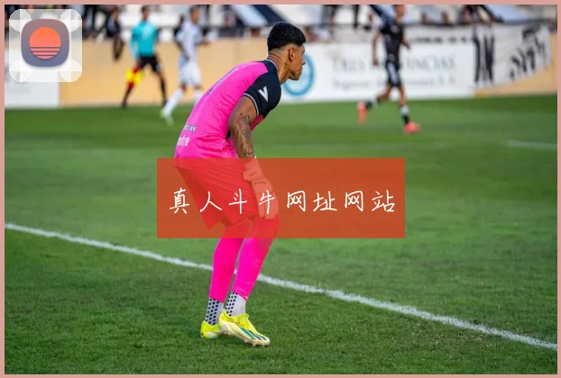 真人斗牛网址网站