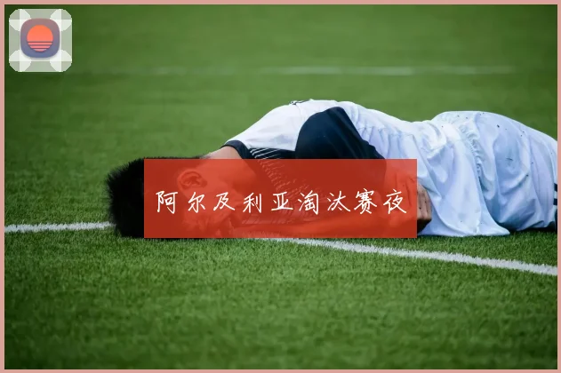 阿尔及利亚淘汰赛夜