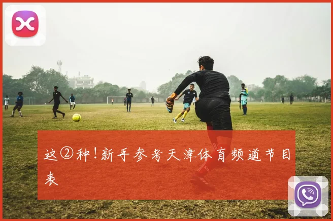 这②种!新手参考天津体育频道节目表