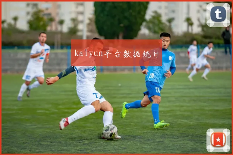 kaiyun平台数据统计