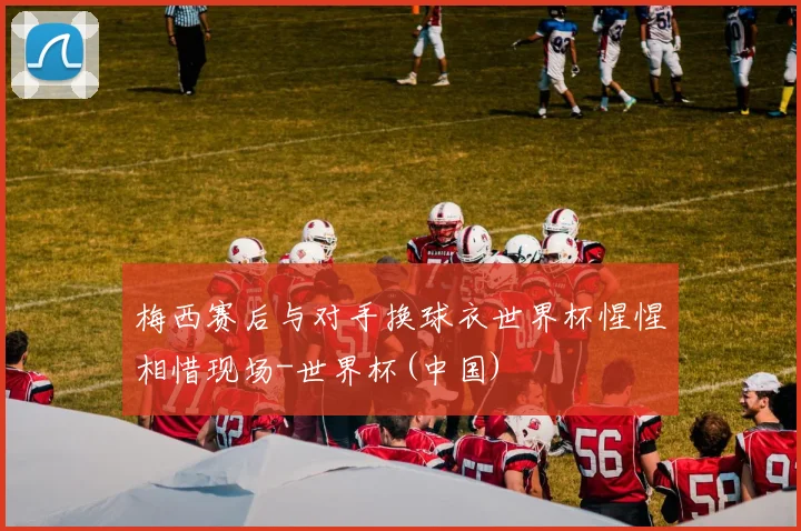 梅西赛后与对手换球衣世界杯惺惺相惜现场-世界杯(中国)