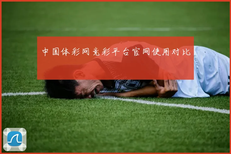 中国体彩网竞彩平台官网使用对比