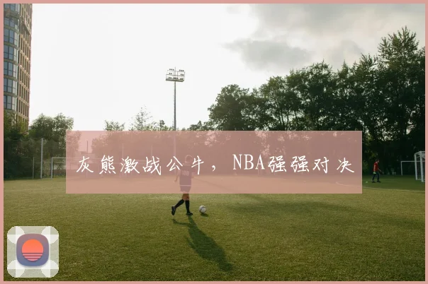 灰熊激战公牛，NBA强强对决