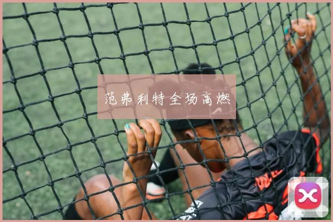范弗利特全场高燃