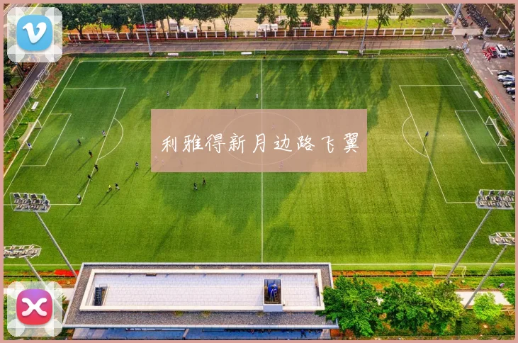 利雅得新月边路飞翼
