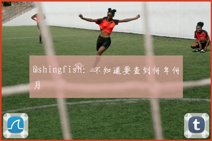 @shingfish：不知道要查到何年何月