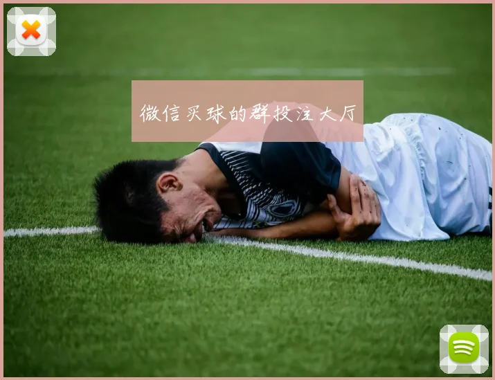 微信买球的群投注大厅