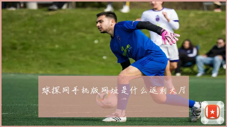球探网手机版网址是什么返利大厅