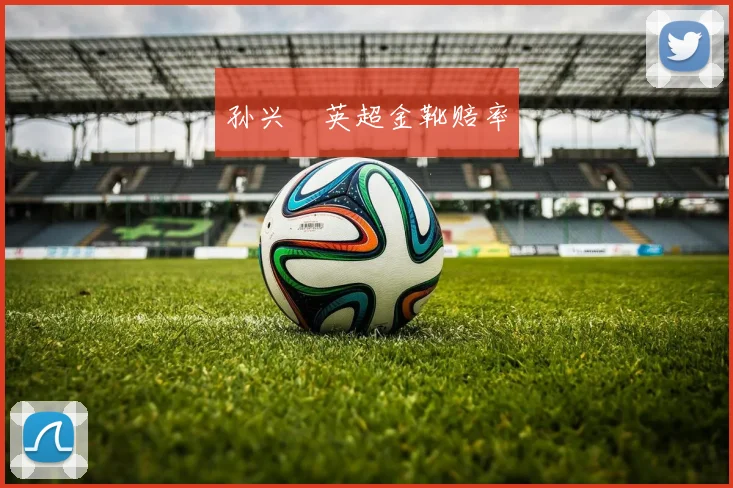 孙兴慜英超金靴赔率