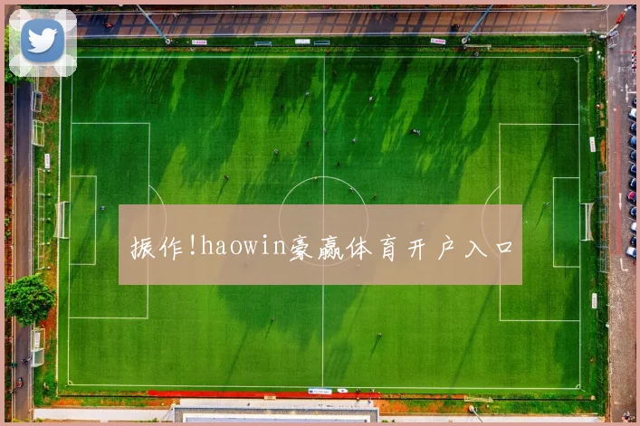 振作!haowin豪赢体育开户入口