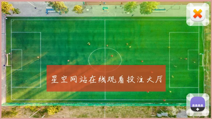 星空网站在线观看投注大厅