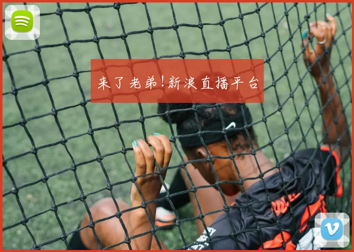 来了老弟!新浪直播平台