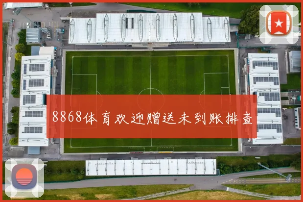 8868体育欢迎赠送未到账排查