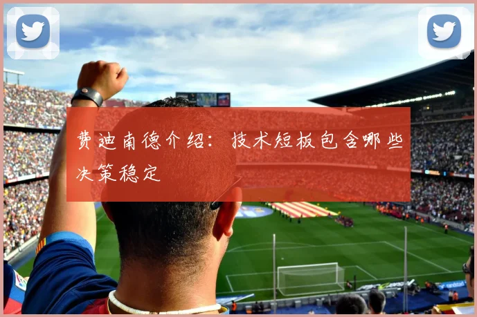 费迪南德介绍：技术短板包含哪些决策稳定