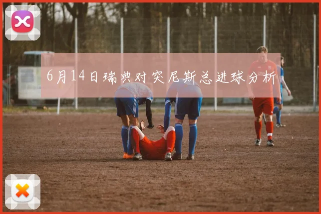 6月14日瑞典对突尼斯总进球分析