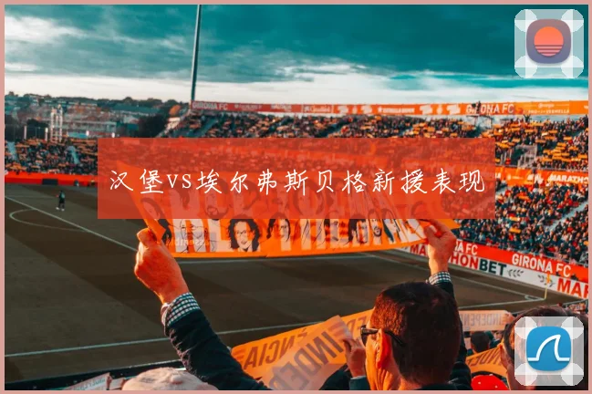汉堡vs埃尔弗斯贝格新援表现