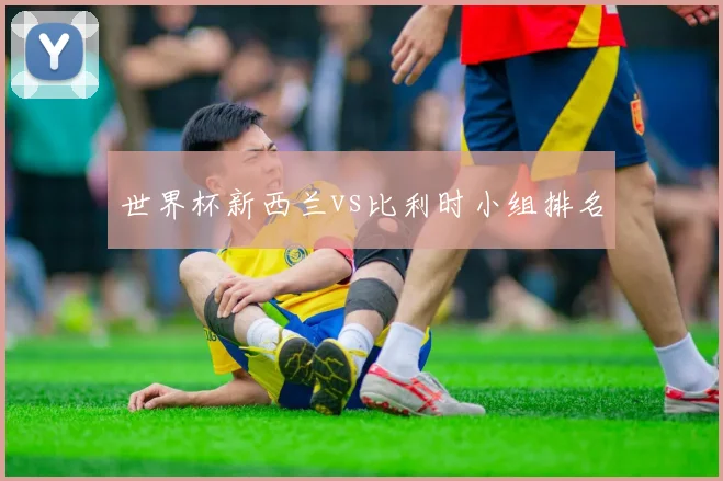 世界杯新西兰vs比利时小组排名
